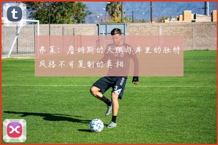 弗莱：詹姆斯的天赋与库里的独特风格不可复制的真相