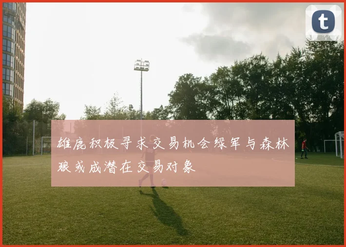 雄鹿积极寻求交易机会绿军与森林狼或成潜在交易对象